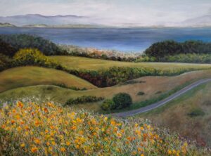 Santa Cruz Coast Views