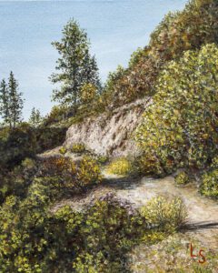 Sunny Day in Ben Lomond