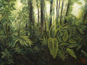 Reserva Bosque Nuboso, Costa Rica